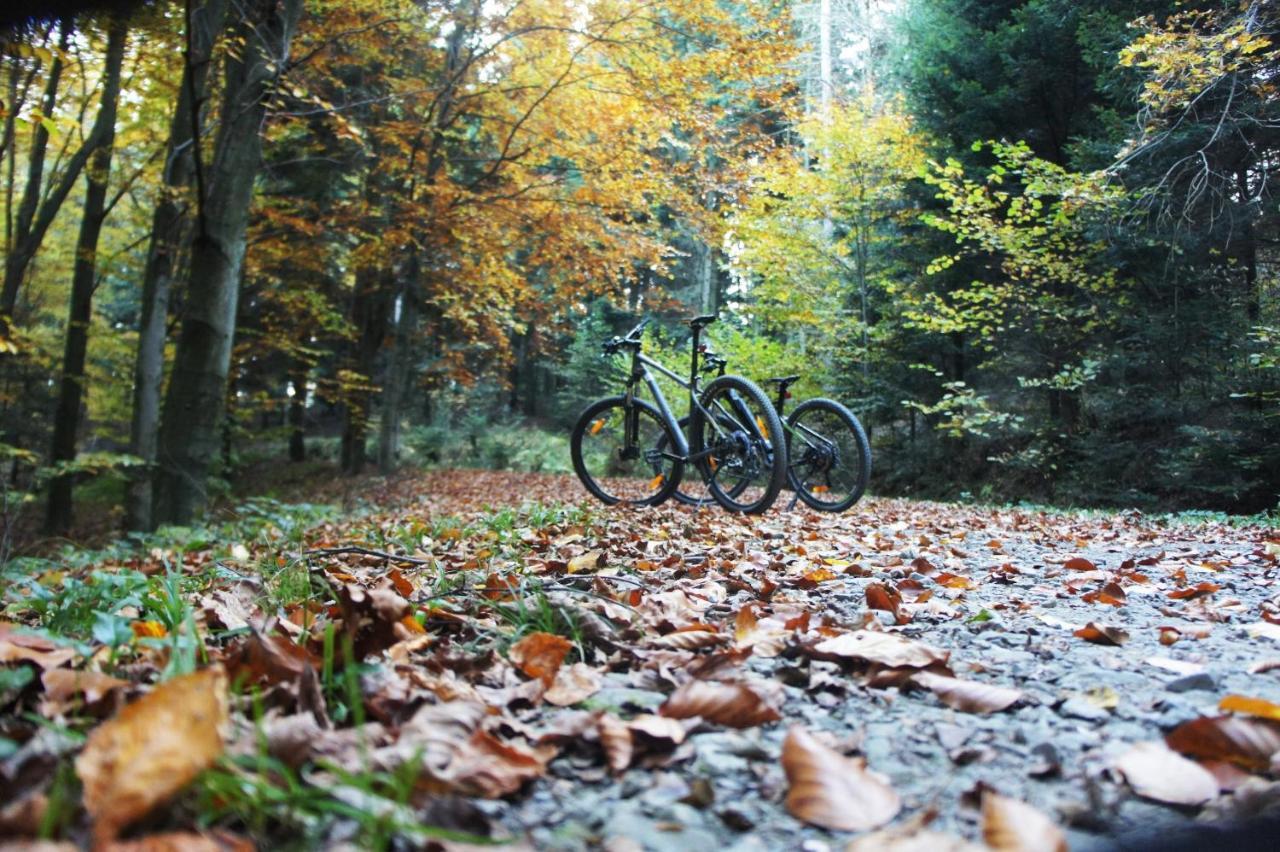 Rowerowyfun Nowy Sącz Exterior foto